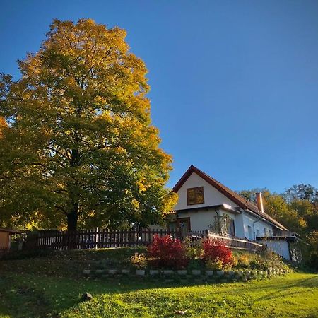 Ferienhaus Koller Güssing Exterior foto