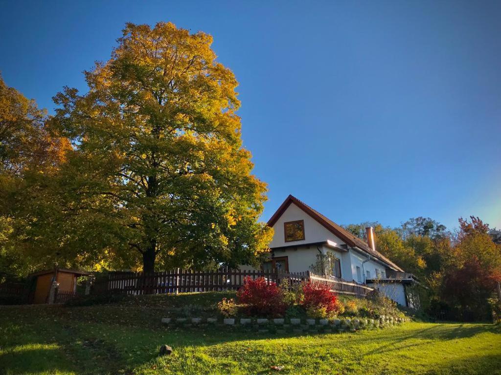 Ferienhaus Koller Güssing Exterior foto